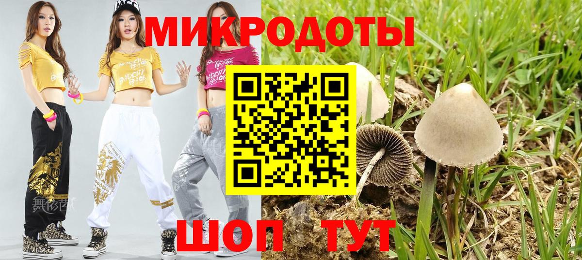 Галлюциногенные грибы ЛСД Ефремов