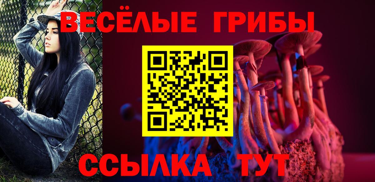 Ефремов  Псилоцибиновые грибы GOLDEN TEACHER  Вход с VPN 